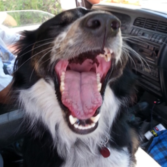 Meet your Posher, Kelley - Picture 1 of 1